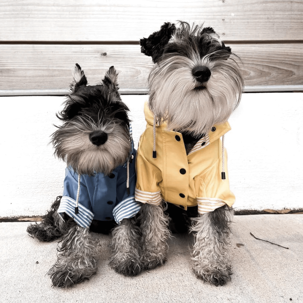 Sloane Waterproof Dog Rain Jacket (Lemon) – by The Paw Co.-5